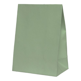 Five Star Paper Party Bag Eucalyptus 10/PK