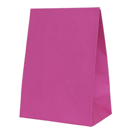Five Star Paper Party Bag Flamingo 10/PK