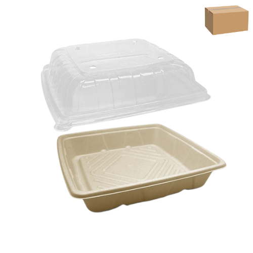 Greenmark Platter Deep 10 WLid 100CTN