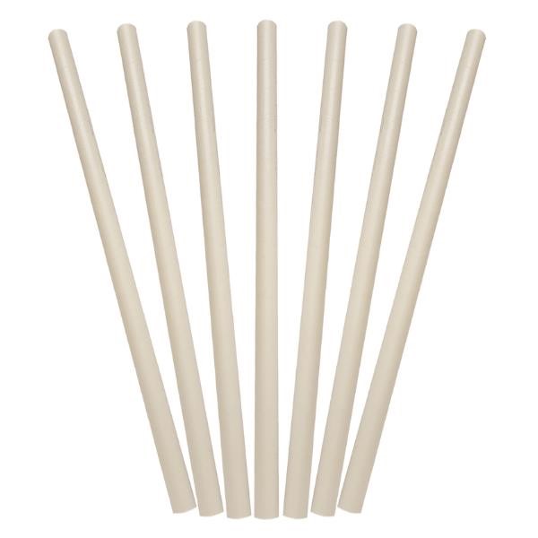 Paper Straws Jumbo White 100PK