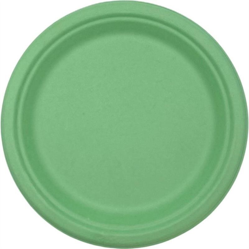 Sugarcane Dinner Plate Pastel Green 9  25 pk