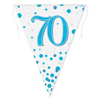 Bunting 70th Birthday Spark Fizz Blue 39m