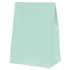 Five Star Paper Party Bag Mint Green 10PK