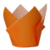 Five Star Paper Tulip Cupcake Case Tangerine 20PK