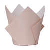 Five Star Paper Tulip Cupcake Case White Sand 20PK