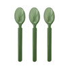 Five Star Reusable Spoon Eucalyptus 20pk