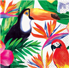 Luau Palm Tropical Beverage Napkin 2Ply 16 Pack