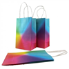 Paper Bag Bright Rainbow 5PK