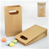 Party Bags Kraft 4 Pack