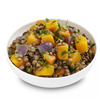 Salad Servers Lentils With Roast Pumpkin 25kg