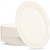 Sugarcane Plate Oval White 50Pk