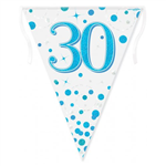 Bunting 30th Birthday Spark Fizz Blue 39m