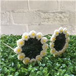 FLORAL GLASSES
