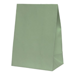Five Star Paper Party Bag Eucalyptus 10PK
