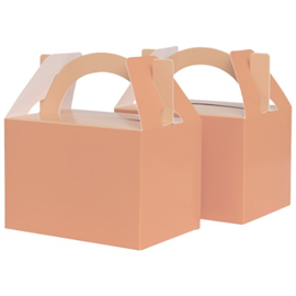 Five Star Paper Little Lunch Box Peach 10/PK