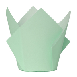 Five Star Paper Tulip Cupcake Case Mint Green 20/PK
