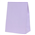 Five Star Paper Party Bag Pastel Lilac 10/PK